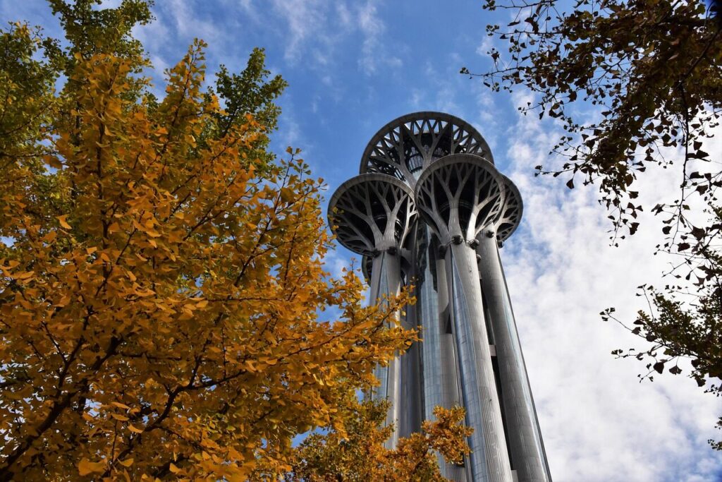 autumn, building, olympic park, olympic tower, beijing, beijing landmark, ginkgo tree, beijing, beijing, beijing, beijing, beijing